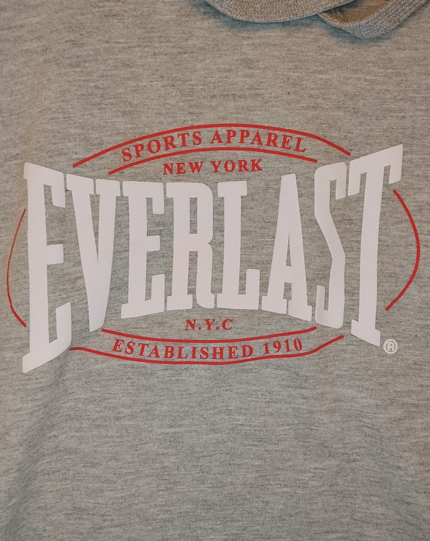 Everlast Felpa Uomo Smanicata con Cappuccio Grigia Taglia L